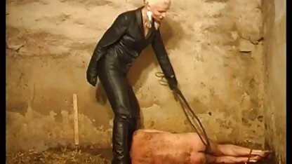 Bất thường dương vật, phục phim sec moi hay vụ bằng tiếng tây ban nha Brenda Boop