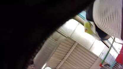 Vẻ đẹp hành xem sec hd khách đá một kẻ giết người trên xe buýt