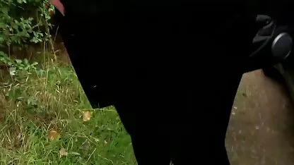 Tuyệt xem phim sec vietsub đối già già để xem cho