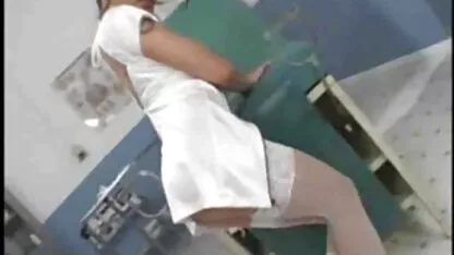 Chó săn với hộp sem phim sec moi lớn và ăn hạt dẻ